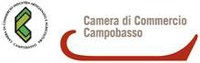 Camera di Commercio: pubblicato avviso per collaborare con le Pmi