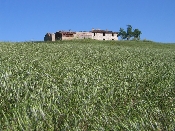 Piano di sviluppo rurale